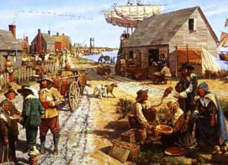 The Nation of Freedom