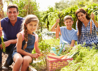 God’s Government is a Garden