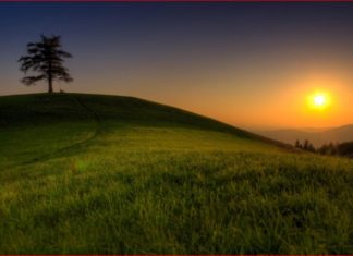 How We Reverse the Fall