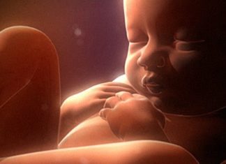 The Sperm, the Ovum, and You