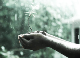 Rebirth Through Love