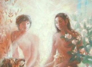 The Value of the Sexual Organs